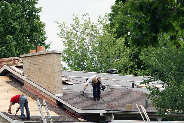 Best Roof Gutter Cleaning  in Latimer, MS