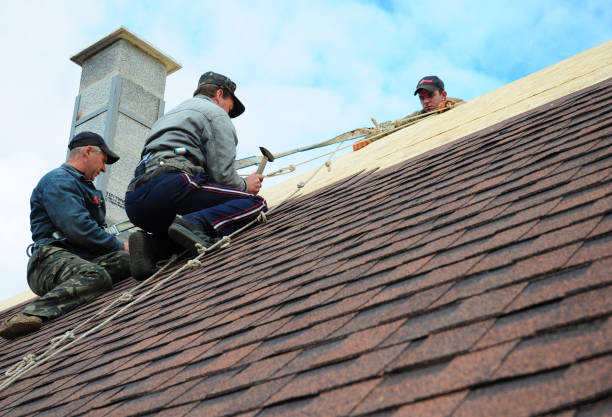 Best Roofing Contractors for Homes  in Latimer, MS